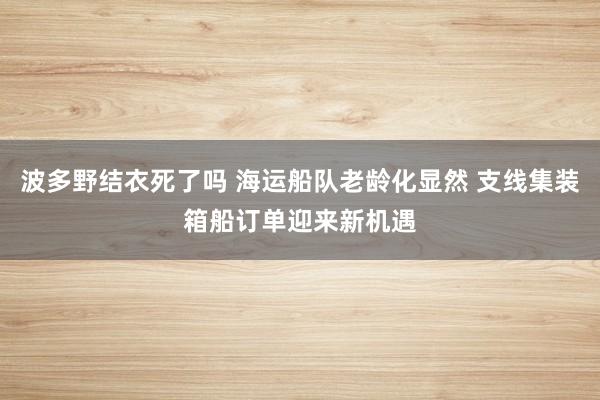 波多野结衣死了吗 海运船队老龄化显然 支线集装箱船订单迎来新机遇