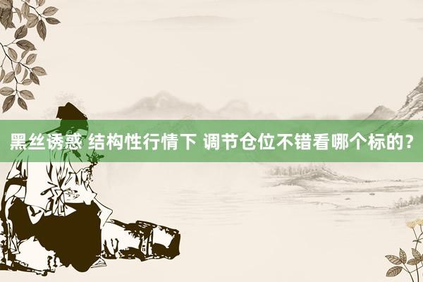 黑丝诱惑 结构性行情下 调节仓位不错看哪个标的？