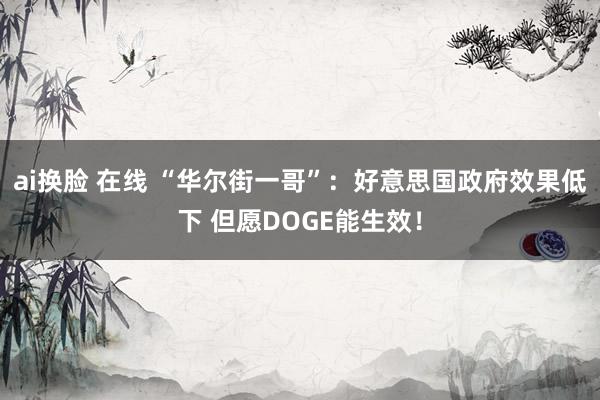 ai换脸 在线 “华尔街一哥”：好意思国政府效果低下 但愿DOGE能生效！