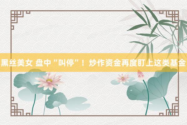 黑丝美女 盘中“叫停”！炒作资金再度盯上这类基金